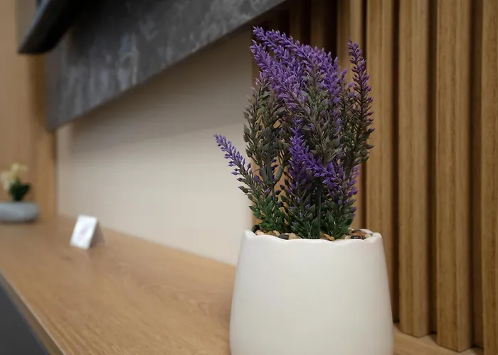 Apartment Deha Port View